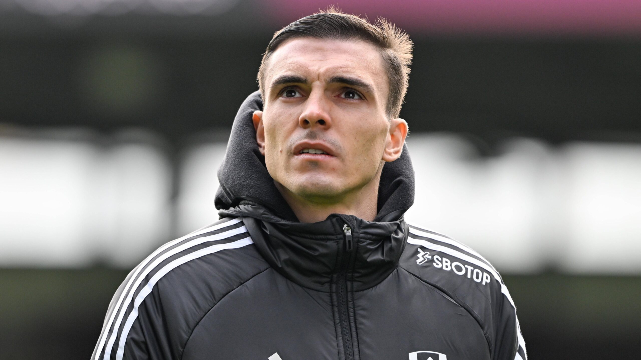 João Palhinha, Fulham