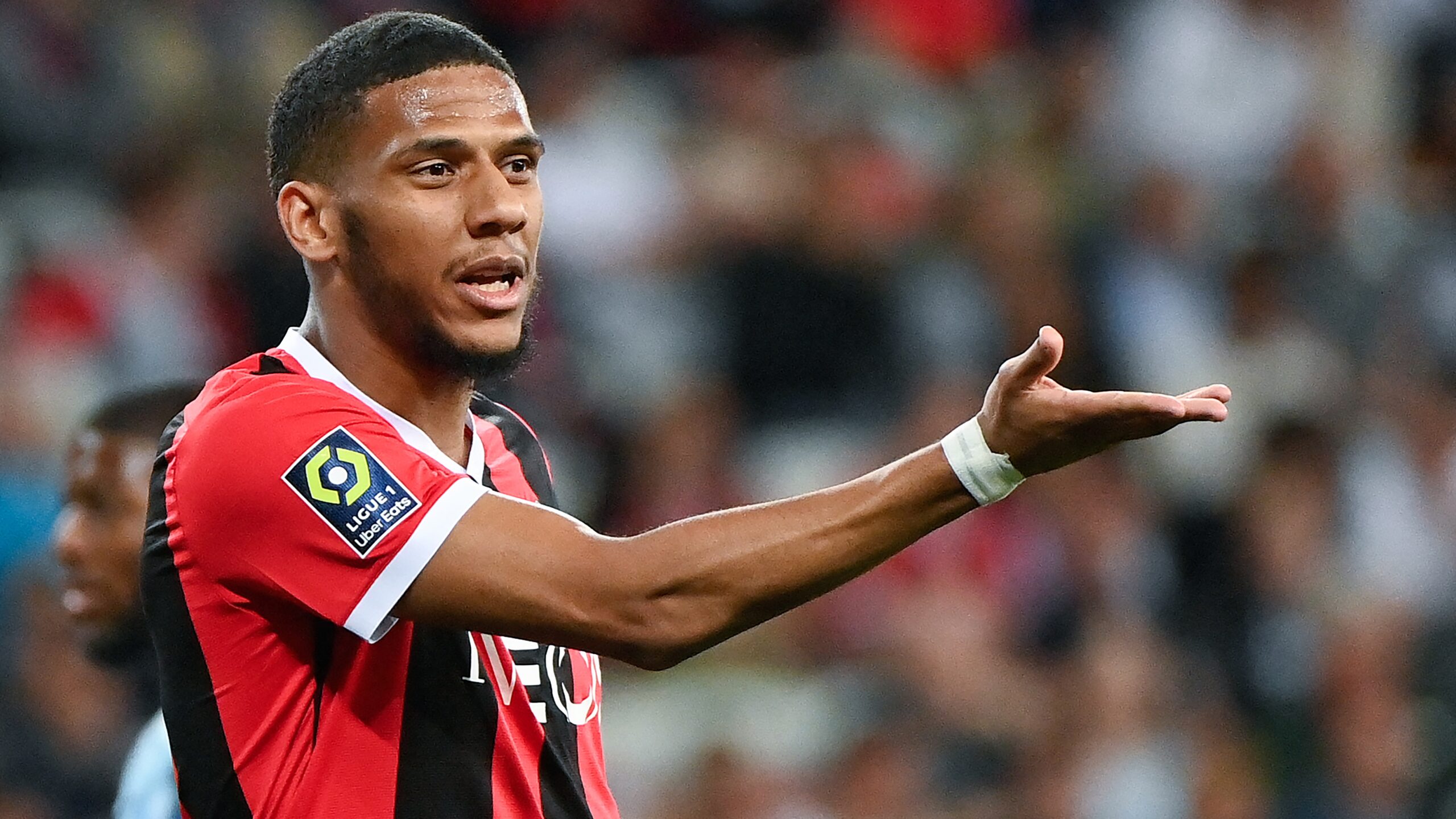 Todibo