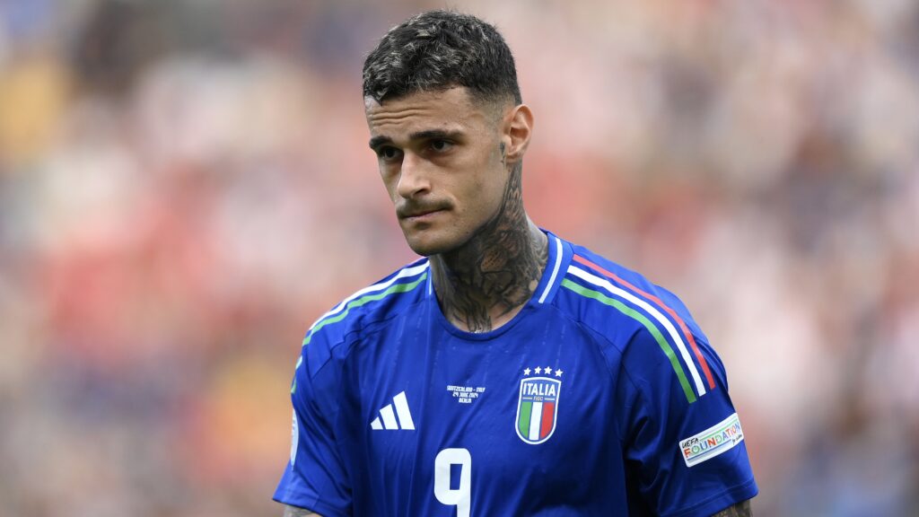 Scamacca