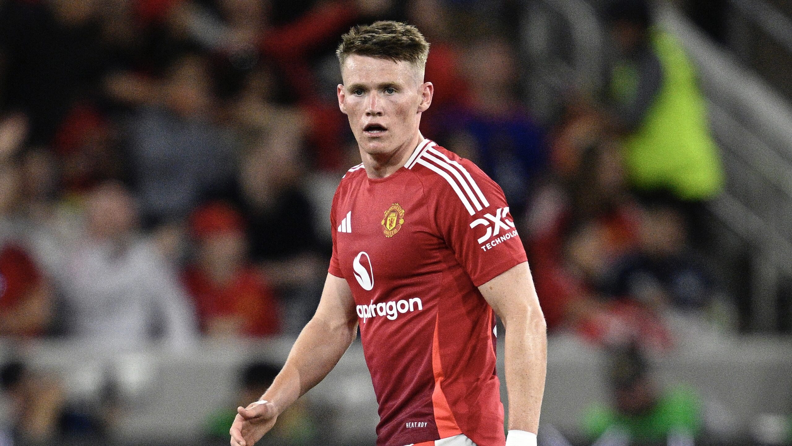 Napoli, ufficiale McTominay dal Manchester United: cifre e dettagli