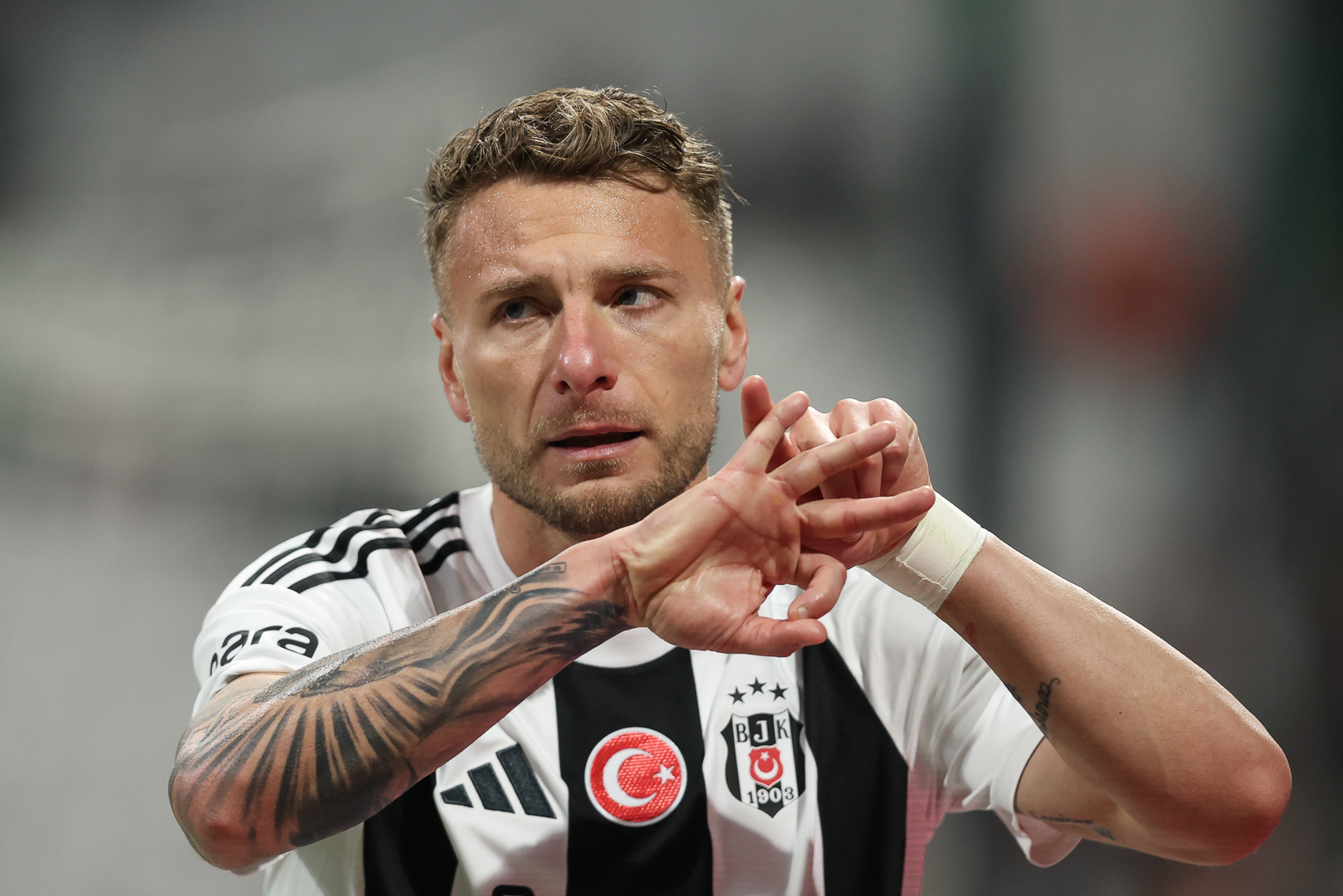 Bologna, ufficiale l'acquisto di Immobile: il comunicato