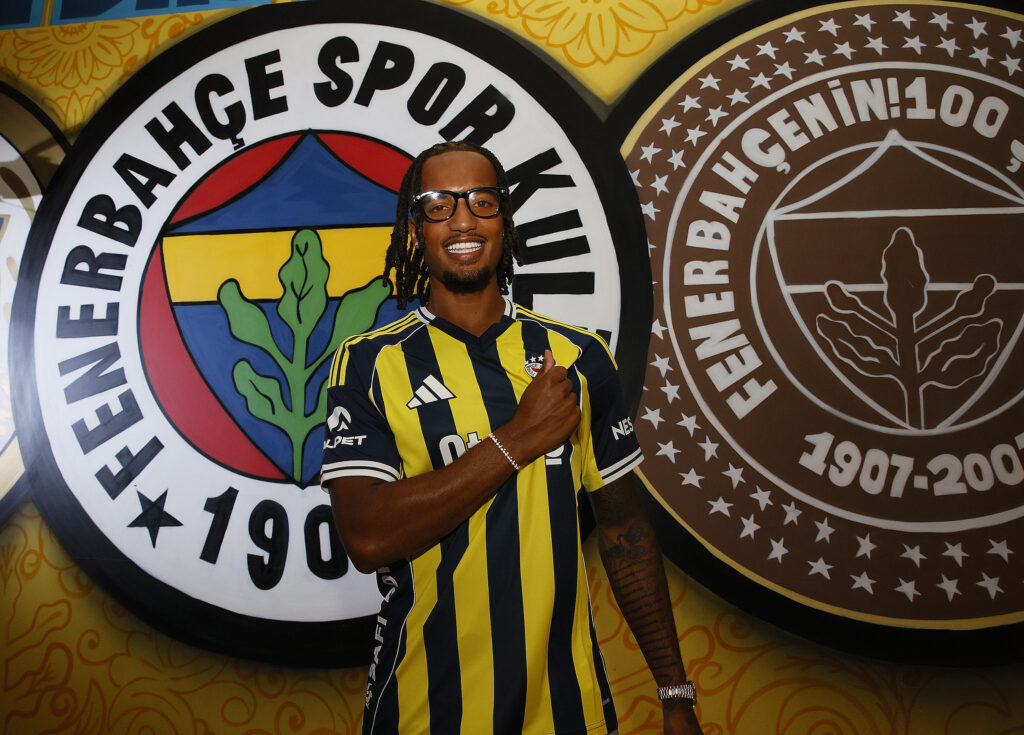Brown Fenerbahce