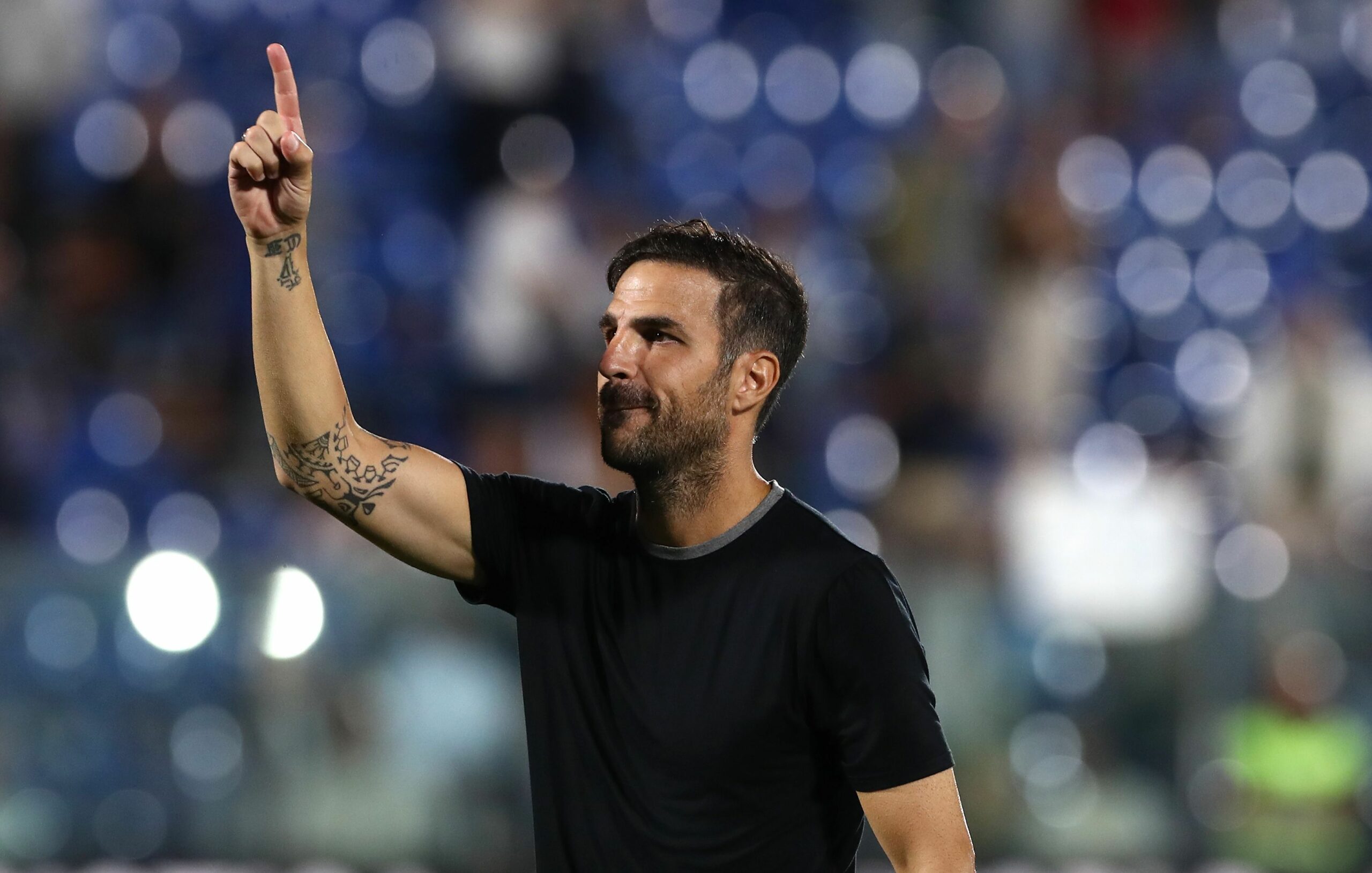 fabregas
