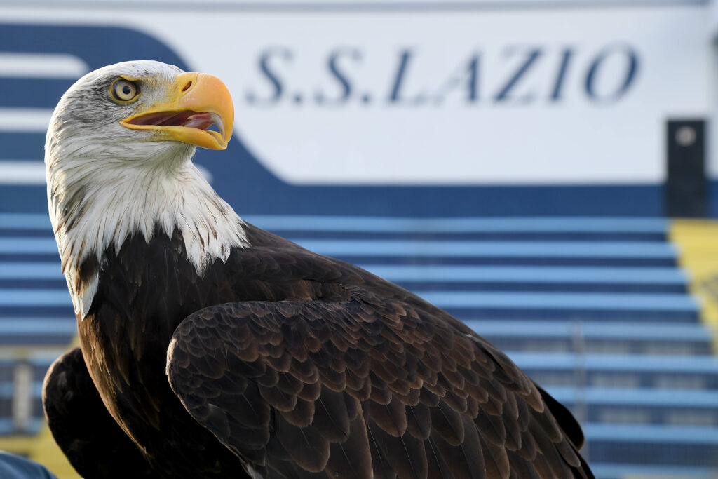 Lazio, polemiche sul nuovo falconiere: "Lazio m*rda!" e nostalgia fascista