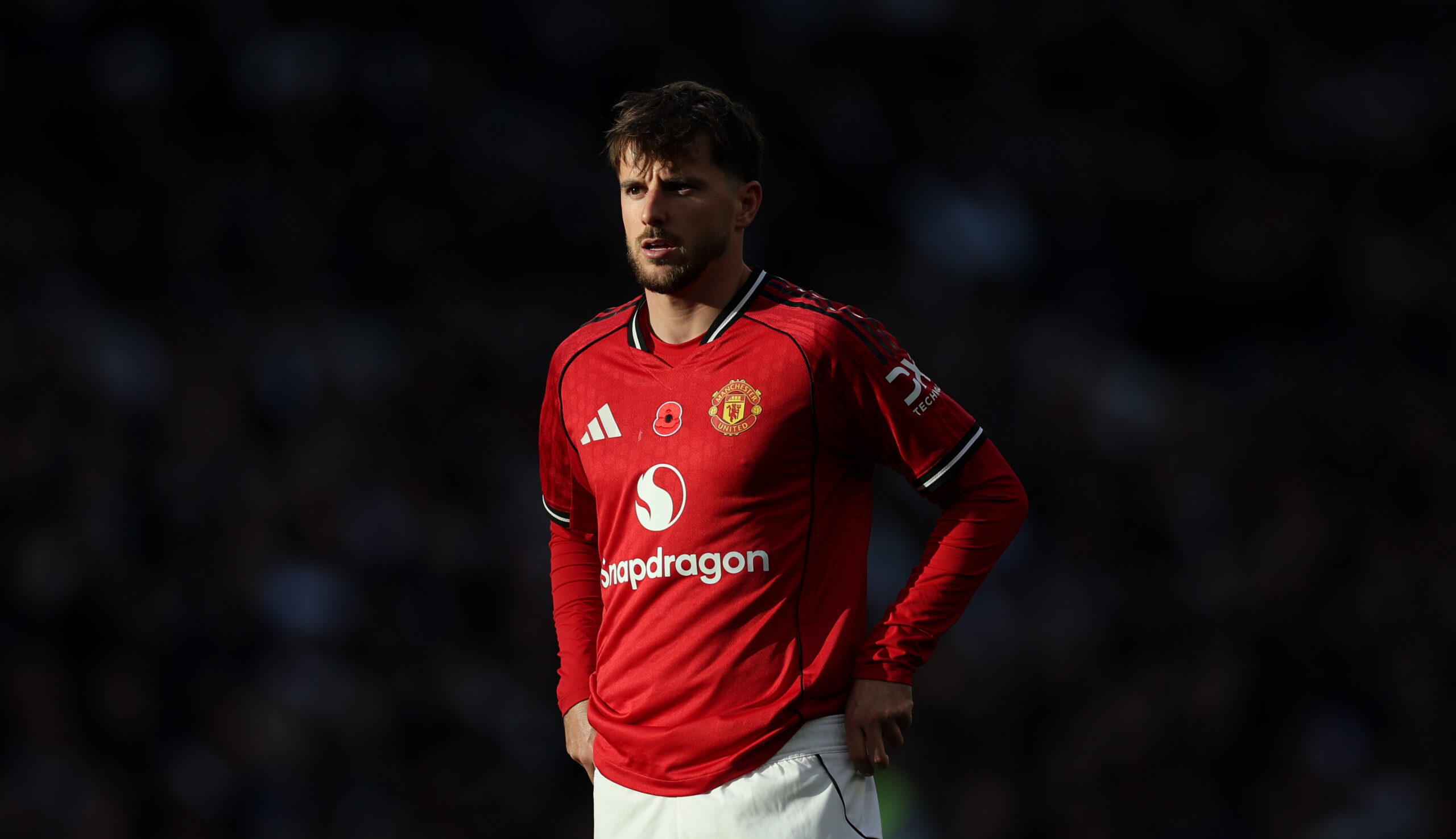 Premier League Mount