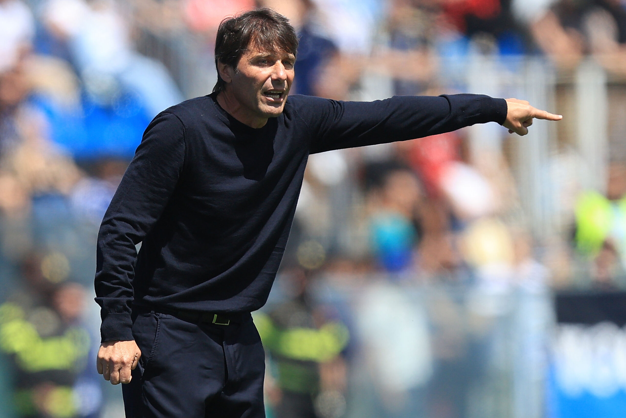 Conte
